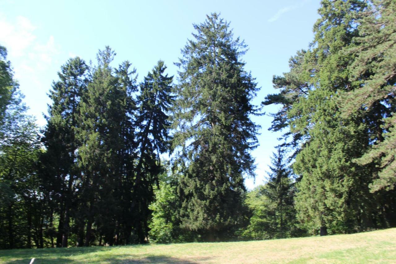 Gite 3 Du Chateau De Feschaux Villeneuve-sous-Pymont Exterior photo